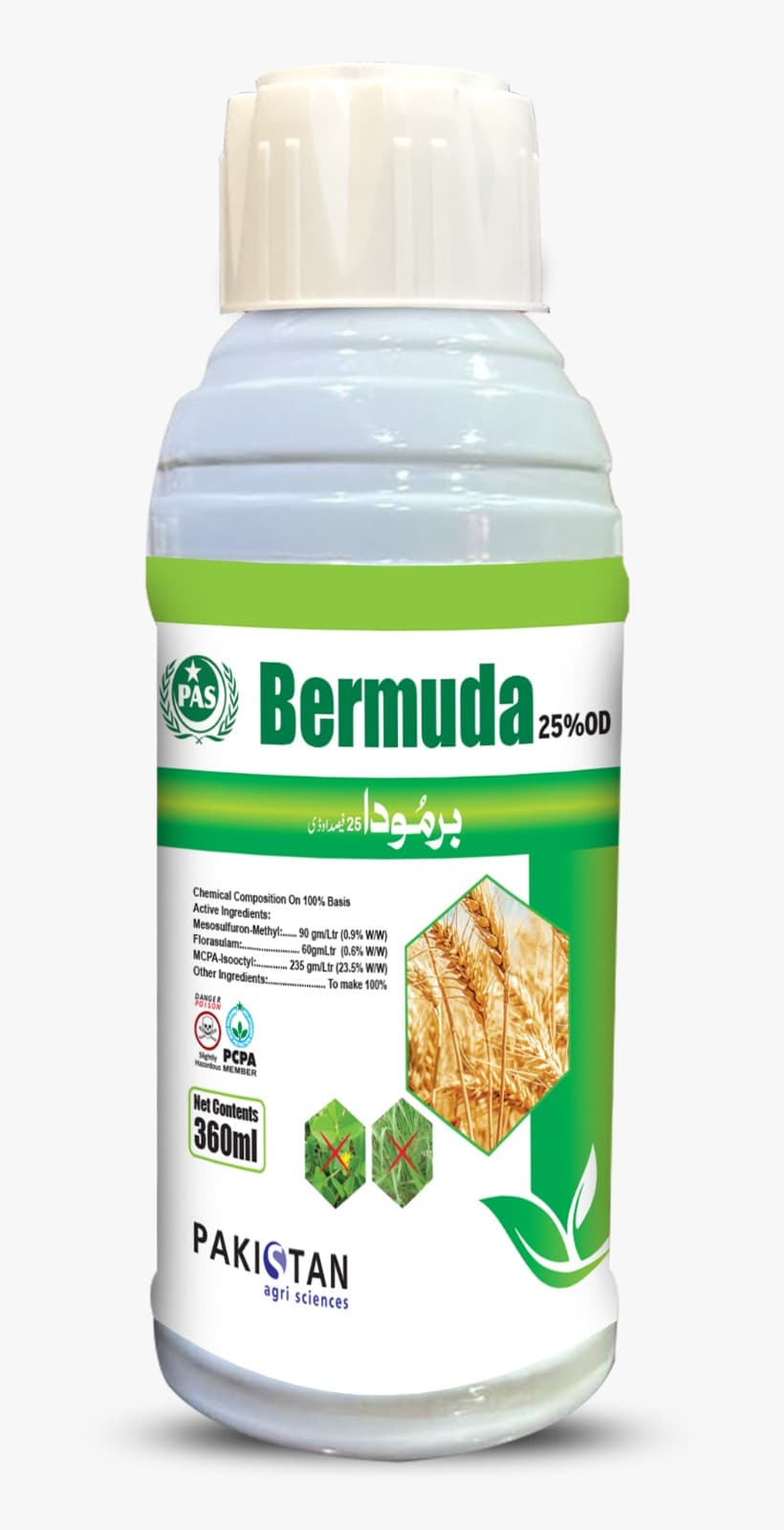 BERMUDA 25% OD
